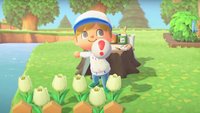 Falle bauen und Anleitung bekommen | Animal Crossing: New Horizons