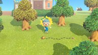 Animal Crossing: New Horizons | Fliegen und Ameisen fangen