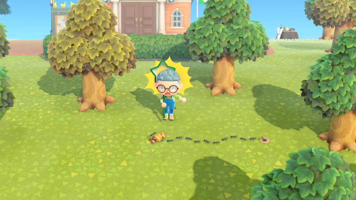 Animal Crossing New Horizons Fliege und Ameise fangen