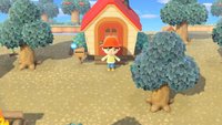 Haus ausbauen und Lager erweitern | Animal Crossing: New Horizons