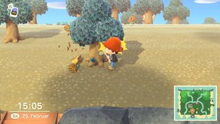 Animal Crossing - New Horizons: Alle Insekten - Fundorte, Verkaufspreise und April-Update