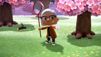Kirschblüten sammeln und alle Bastelanleitungen | Animal Crossing: New Horizons