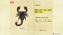 Skorpione fangen und teuer verkaufen | Animal Crossing: New Horizons