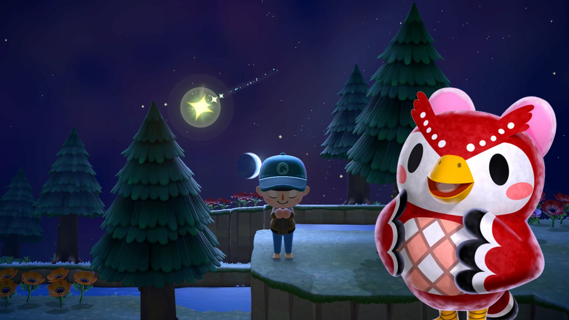 Animal Crossing Sternschnuppen & Sternensplitter in ACNH fangen