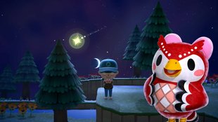 Animal Crossing: New Horizons | Sternschnuppen: Uhrzeit und alle Sternensplitter