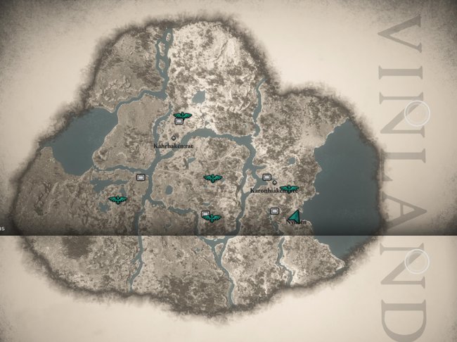 Seit ihr in der Story weit genug fortgeschritten, erhaltet ihr den Auftrag, nach Vinland zu reisen, wovon ihr hier die Map seht.