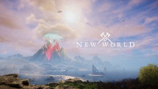 New World | Controller Einrichtung und Nutzung