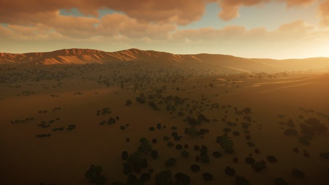 Die Graslandschaft bietet vielen Steppentieren ein zu Hause. Trotz hohen Temperaturen wachsen hier Gras, Bäume und andere Pflanzen.