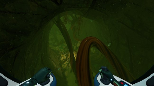 Wenn ihr soetwas seht, dann seid ihr in den Arctic Kelp Caves angekommen. (Bild: Subnautica: Below Zero | Unknown Worlds Entertainment)