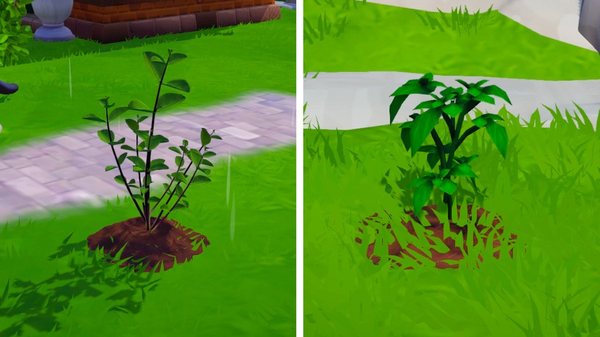 Disney Dreamlight Valley Oregano und Basilikum finden