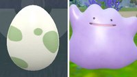 Pokémon Karmesin: Ditto fangen und Eier bekommen