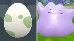 Pokémon Karmesin: Ditto fangen und Eier bekommen
