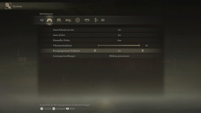 An dieser Stelle im Systemmenü könnt ihr die Bewegungssteuerung aktivieren.