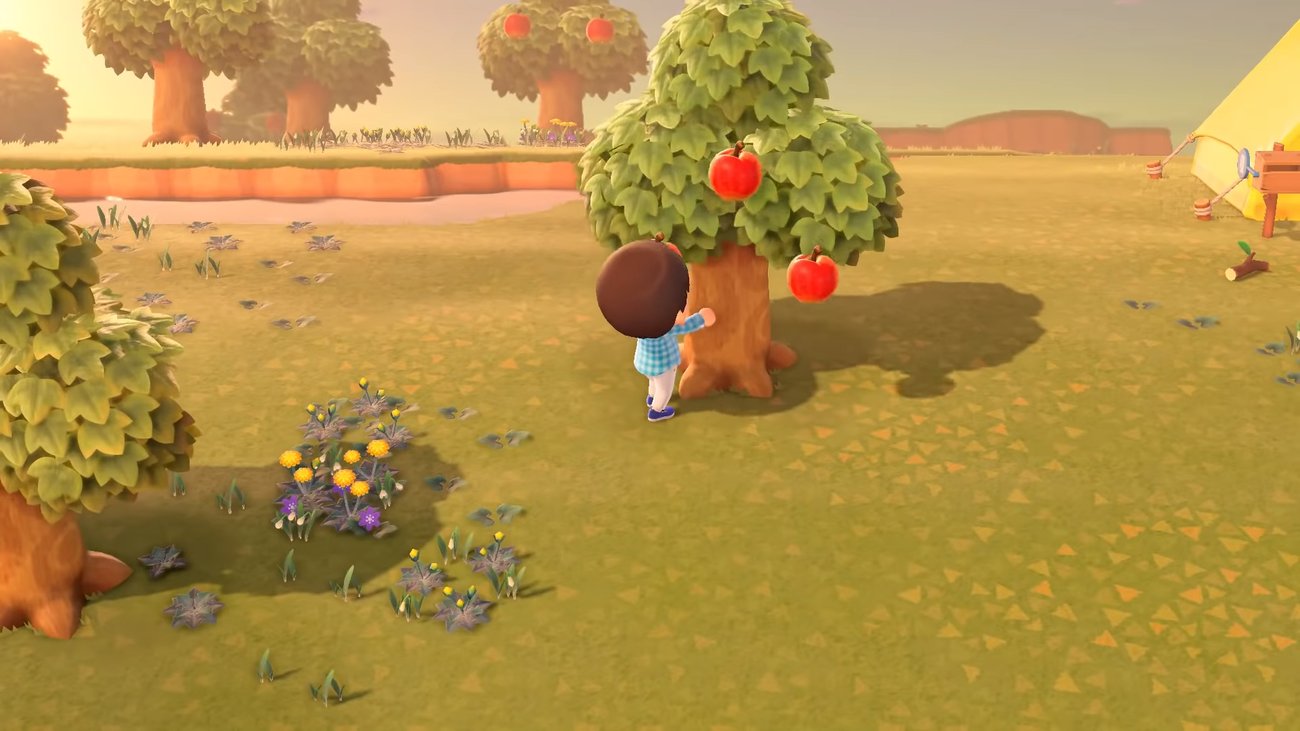 Animal Crossing New Horizons Komplettlösung aller Aufgaben