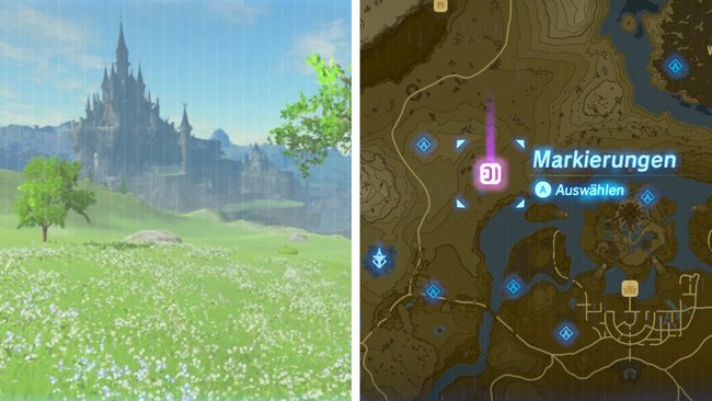 Fundort: Nordwestlich von Schloss Hyrule an einem See.