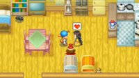 Harvest Moon DS: Heiraten und Kinder bekommen