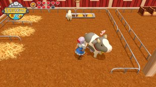 Harvest Moon: One World – Tiere kaufen, pflegen und verkaufen