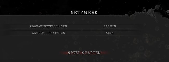 Wollt ihr offline zu zweit spielen, könnt ihr die Koop-Einstellungen ignorieren.