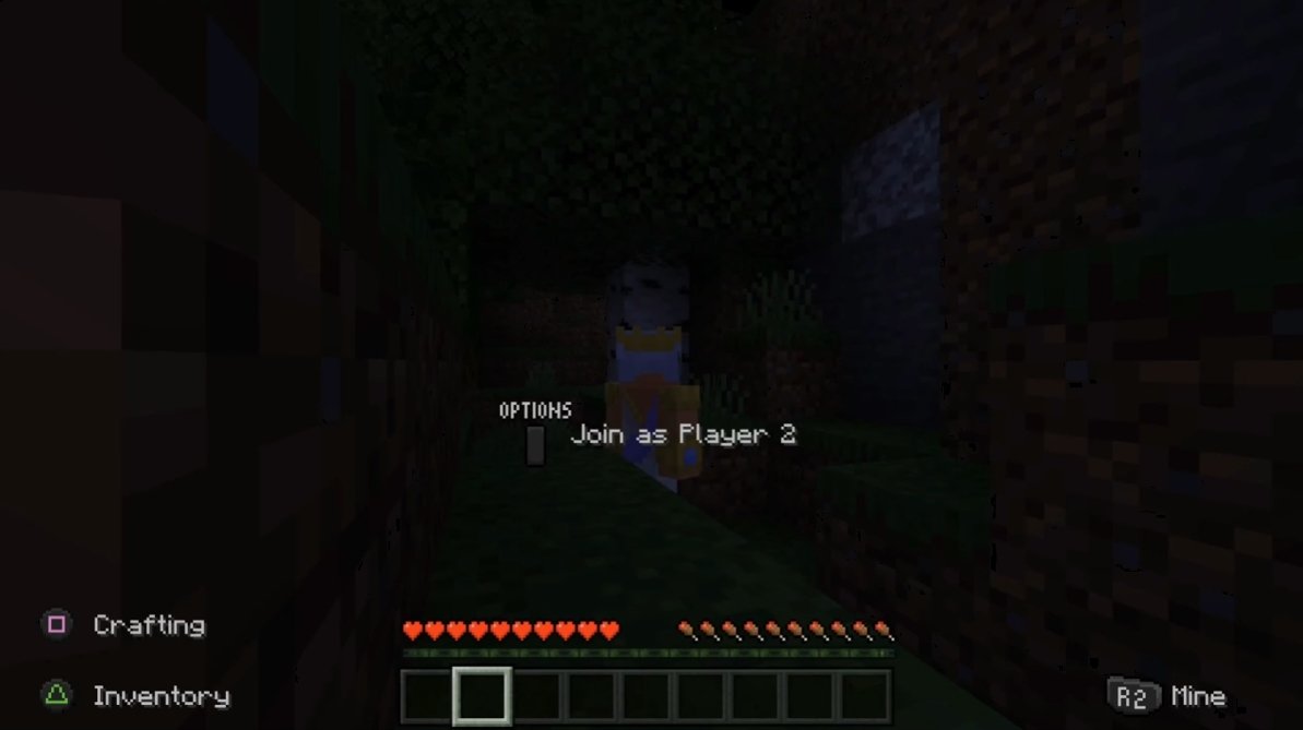 Minecraft zu zweit spielen Splitscreen offline und online starten