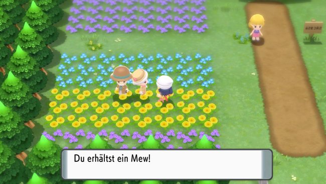 Stattet diesen zwei Personen in Flori einen Besuch ab, um Mew und Jirachi zu bekommen.