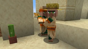Minecraft | Handel mit Villagern treiben - alle Angebote