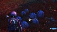 Summende Eier looten und Larvenkerne sammeln - No Man's Sky