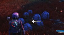 Summende Eier looten und Larvenkerne sammeln - No Man's Sky