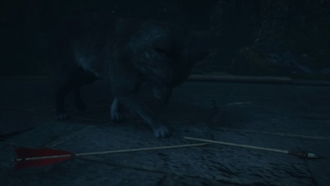 Unten bei der Quelle des Schicksals versteckt sich ein schwarzer Wolfswelpe. Havi will diesen tot sehen.