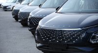 Mehr als E-Autos: China-Hersteller legt in Deutschland mit vielen Modellen los