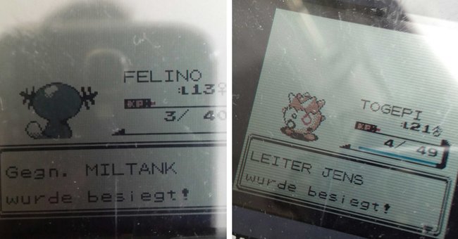 Meine beiden spannendsten Kämpfe in Pokémon: Silberne Edition – Danke, Entwickler Game Freak!