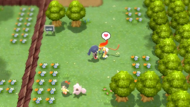 Eure Pokémon interagieren mit euch und zeigen euch ihre Zuneigung.