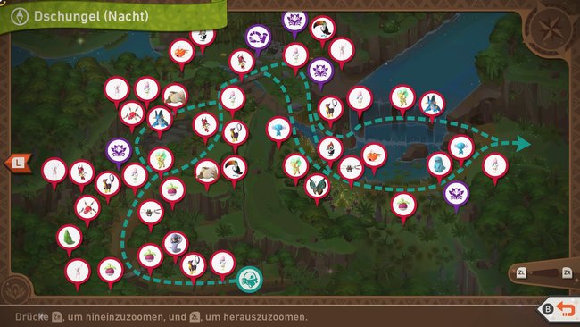 Karte mit Pokémon-Fundorten auf der Strecke „Dschungel (Nacht)“.