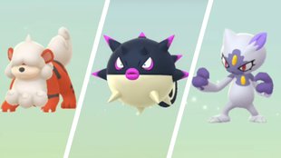 Pokémon GO | Hisui-Baldorfish, Sniebel, Fukano und Voltobal entwickeln