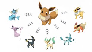 Pokémon GO | Evoli: Alle Entwicklungen und wie ihr sie auslöst