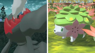 Pokémon-Legenden: Arceus | Darkrai und Shaymin fangen