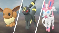 Pokémon-Legenden: Arceus | Evoli fangen und entwickeln