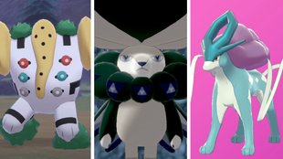 Alle Legendären Pokémon fangen | Pokémon Schwert & Schild: Schneelande der Krone