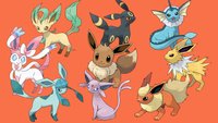 Evoli fangen und entwickeln | Pokémon Schwert & Schild