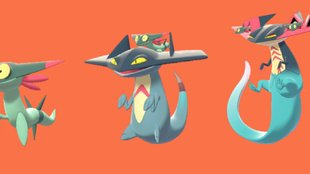 Grolldra fangen und zu Katapuldra entwickeln | Pokémon Schwert & Schild