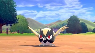 Shiny-Hunting: So habt ihr die besten Chancen | Pokémon Schwert & Schild