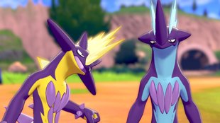 Toxel fangen und zu Riffex entwickeln | Pokémon Schwert & Schild