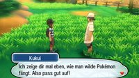 Pokémon Sonne & Mond: Pokémon fangen und finden leicht gemacht