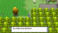 Pokémon Strahlender Diamant & Leuchtende Perle | Kryppuk fangen und Spiritkern finden