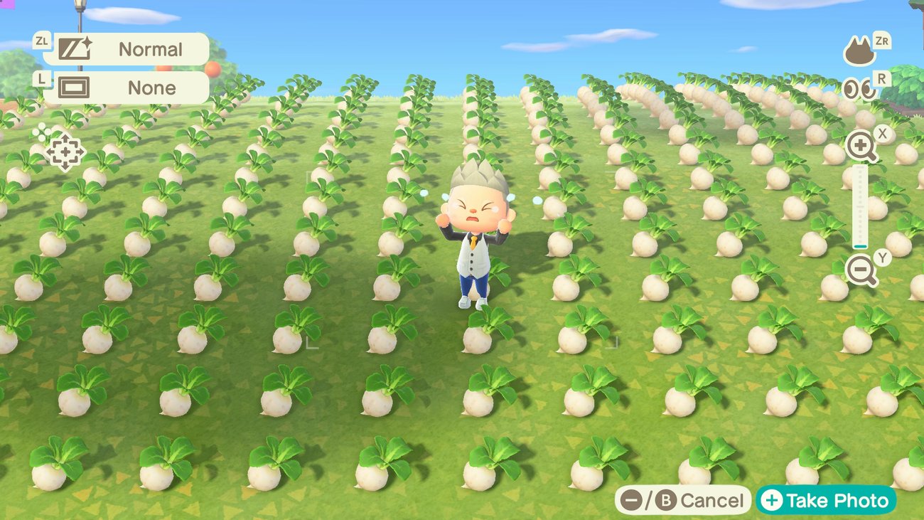 Animal Crossing Rüben kaufen und Rübenpreise vorhersagen