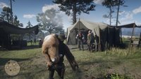 Geld-Glitch: 25.000 Dollar in einer Stunde - Red Redemption 2