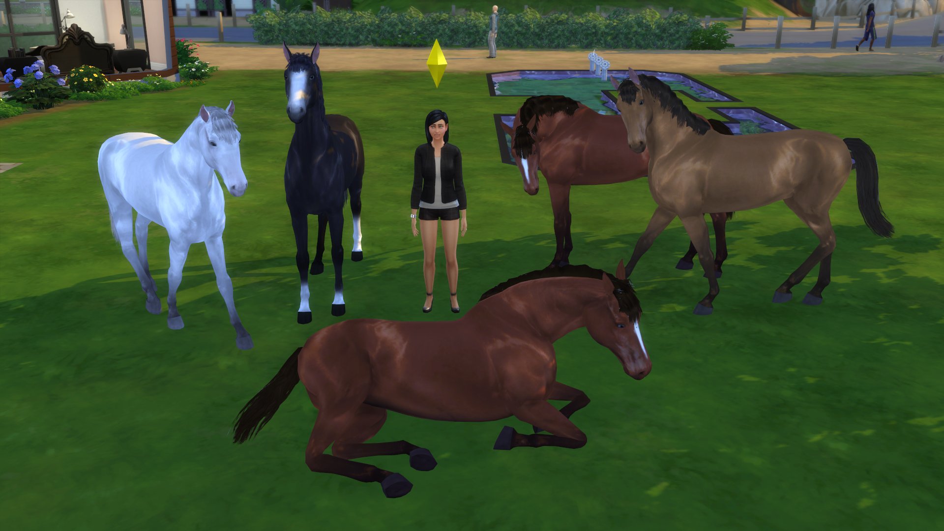 Sims 4: Pferde freischalten durch Mod und Custom Content