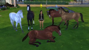 Die Sims 4: Pferde freischalten durch Mod und Custom Content