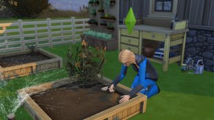 Die Sims 4: Pflanzen züchten und veredeln – alles über die Gartenarbeit