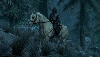 The Elder Scrolls 5: Skyrim | Pferd rufen: Ist das möglich?