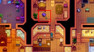 Stardew Valley: Lewis' Shorts finden